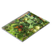 De mon Carnet photo Garden Spiral (Côté gauche)