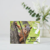 De mon cou des bois à votre carte postale (Debout devant)