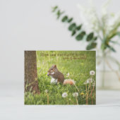 De mon cou des bois à votre carte postale (Debout devant)