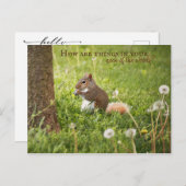 De mon cou des bois à votre carte postale (Devant / Derrière)