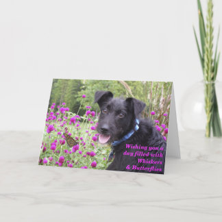 De monarch wenst Kaart