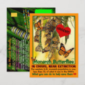 De monboogvlinder is bedreigd - help ze - briefkaart (Voorkant / Achterkant)