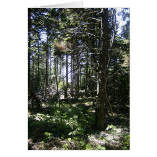 De Monhegan Fairy Card