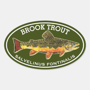 De Mooie Beekforel Ovale Sticker