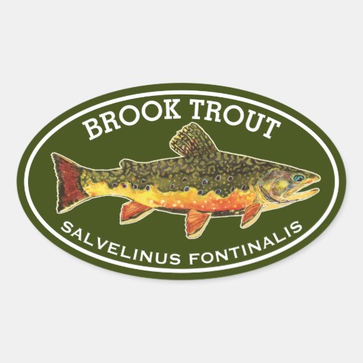 De Mooie Beekforel Ovale Sticker (Voorkant)