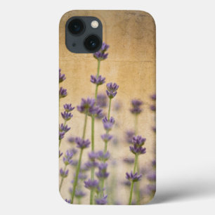 De mooie Bloemen van de Lavendel iPhone 13 Hoesje