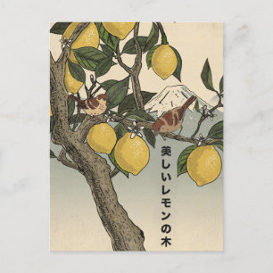 De mooie citroenboom briefkaart