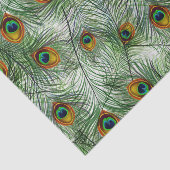 De mooie Groene Veer van de Pauw Tissuepapier (Detail)
