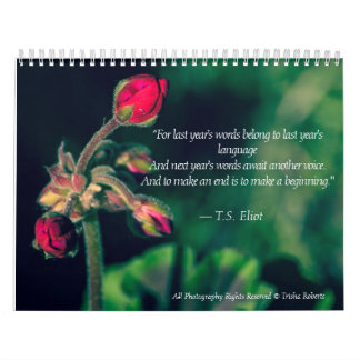 De mooie Kalender 2018 van de Fotografie van de