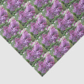 De mooie Lilacs Tissuepapier (Detail)