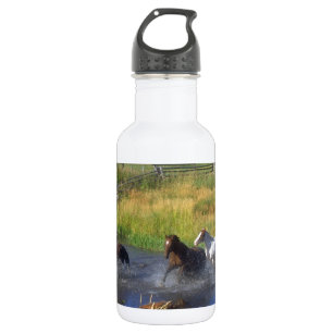 De mooie Natuur van het Lot van de Boerderij van Waterfles