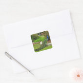 De mooie Peacock Sticker (Envelop)