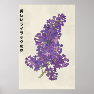 De Mooie Sering Bloem Poster
