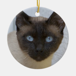 De mooie Siamese Kat van het Punt van de Keramisch Ornament