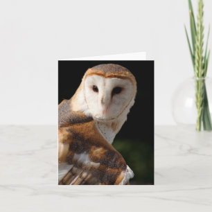 De mooie Uil van de Schuur notecard Kaart