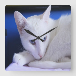 De mooie Witte Kat/voegt de Foto van Uw Huisdier Vierkante Klok