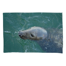 De mooiste grijze zeehonden van Chatham