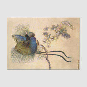 “De mooiste vogel” door Warwick Goble Tissuepapier