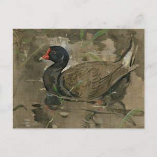 De Moorhen   Joseph Crawhall Briefkaart