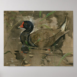 De Moorhen Joseph Crawhall Poster