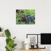 De Moose Poster (Thuiskantoor)