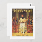 De mosterdkoppen van de Colman op het veld Cricke Briefkaart (Voorkant / Achterkant)