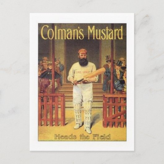 De mosterdkoppen van de Colman op het veld Cricke Briefkaart (Voorkant)