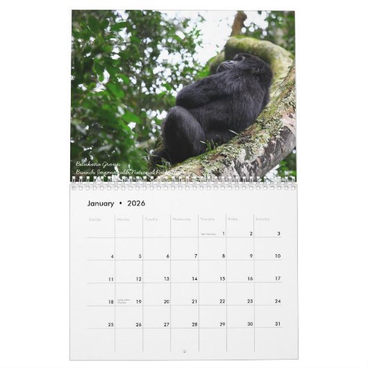De Mountain Gorilla Kalender (Jan 2026)