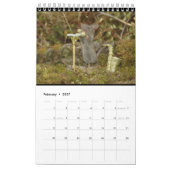 De muis in het stapelhuis kalender (Feb 2027)