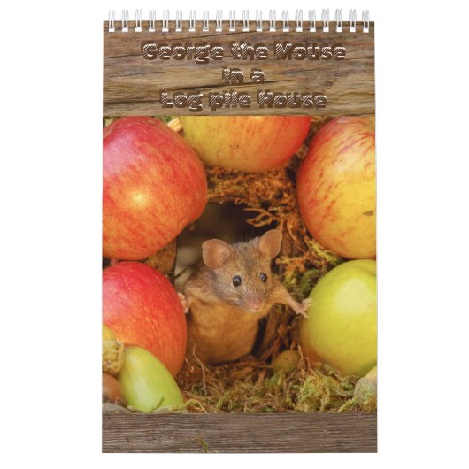 De muis in het stapelhuis  kalender (Hoes)