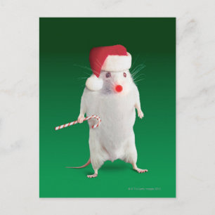 De muis kleedde zich als Kerstman Feestdagenkaart