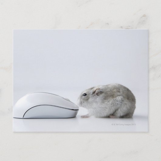 De muis van de hamster en van de Computer Briefkaart (Voorkant)