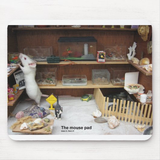 De Muismat (Voorkant)