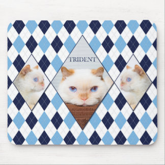 De Muismat Cat Argyle uitproberen