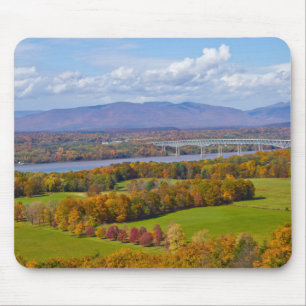 De muisstootkussen van de Brug van Rhinecliff in Muismat
