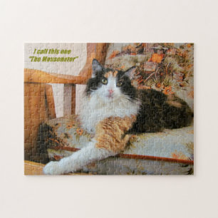 De Muizenverdelger Legpuzzel