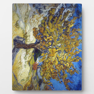 De Mulberry Boom, Vincent van Gogh. Vintage Fotoplaat