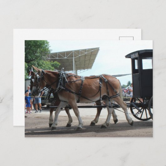 De Mule Driven schoolbus Briefkaart (Voorkant / Achterkant)