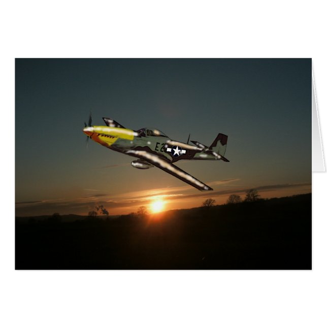 De Mustang van de zonsondergang (Voorkant Horizontaal)