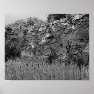 De Muur Cattails 2 van de Steengroeve van de rots Poster