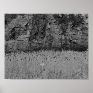De Muur Cattails van de Steengroeve van de rots 1 Poster