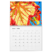 De muur van de Wijn kalender - Vuurwerk. (Mar 2026)