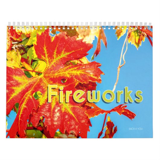 De muur van de Wijn kalender - Vuurwerk. (Hoes)