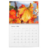 De muur van de Wijn kalender - Vuurwerk. (Jan 2026)