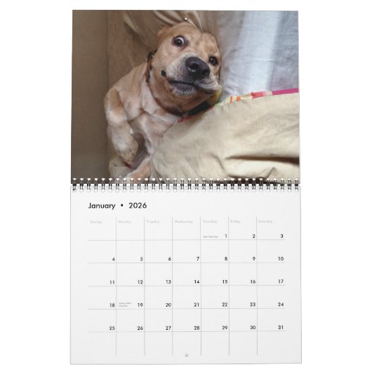De "My Dog Dirk"-agenda van 2013 Kalender (Jan 2026)