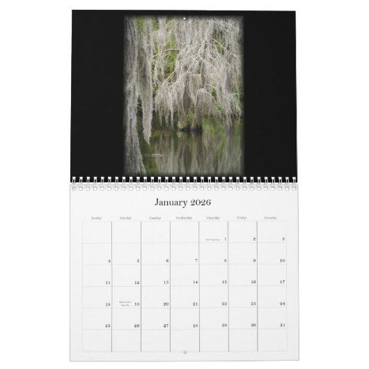 De mysterie van Louisiana 2011 Kalender (Jan 2026)