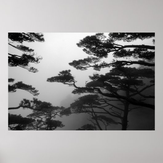 De mystieke bomen - Afdrukken Poster (Voorkant)