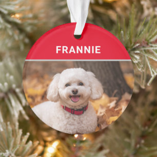 De naam en de foto van Bichon Frise Dog Ornament