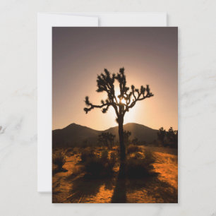 De nacht begint bij Joshua Tree  Kaart