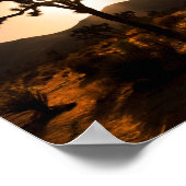 De nacht begint bij Joshua Tree Poster (Hoek)